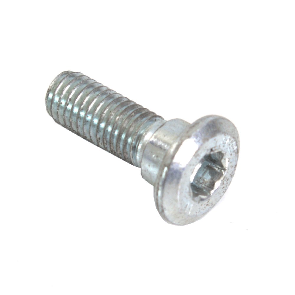 Brake Disc Bolt 2