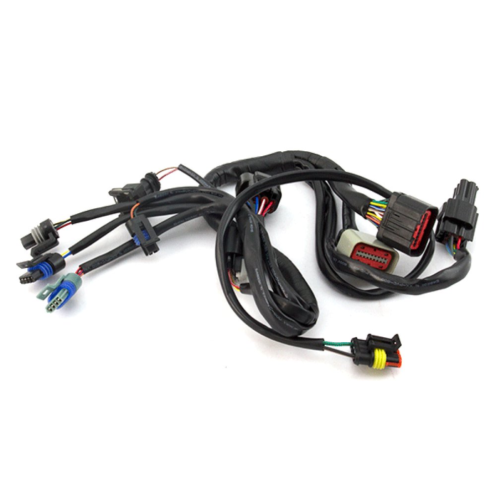 EFI System Wiring Loom