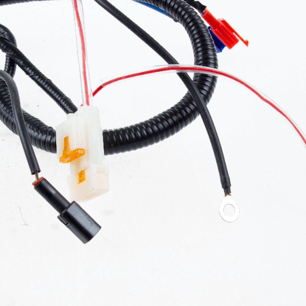 Fuel Injection Wiring Loom 4