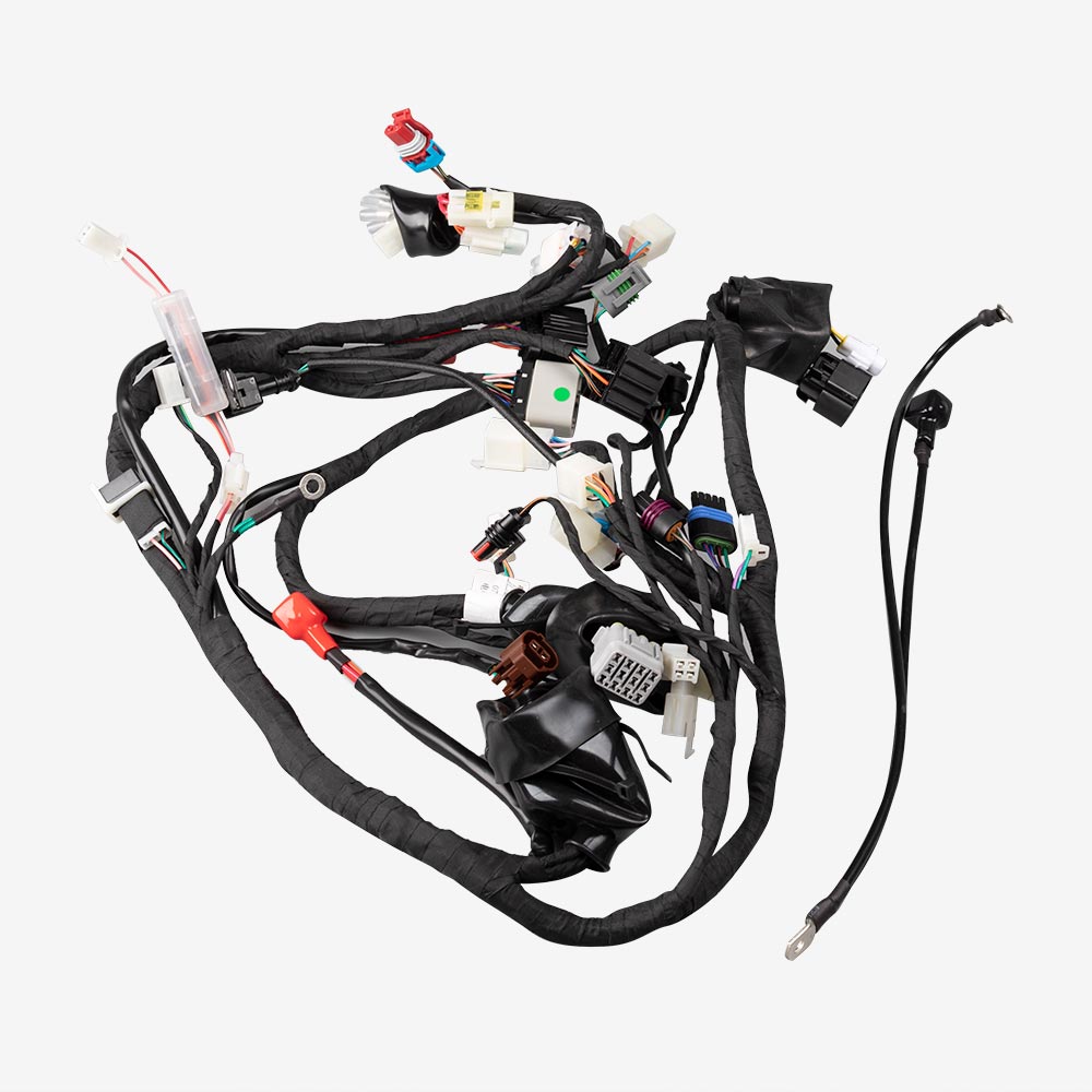 Double Plug ECU Wiring Loom