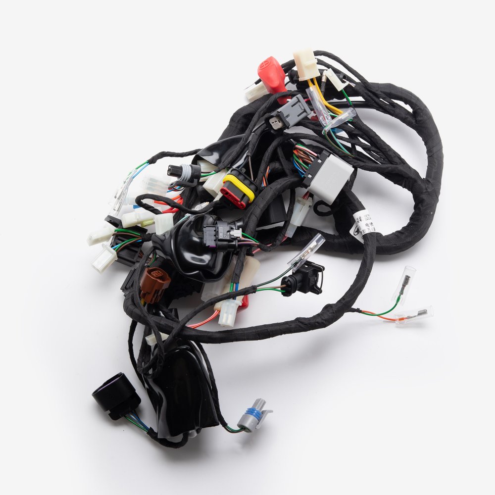 Double Plug ECU Wiring Loom 2