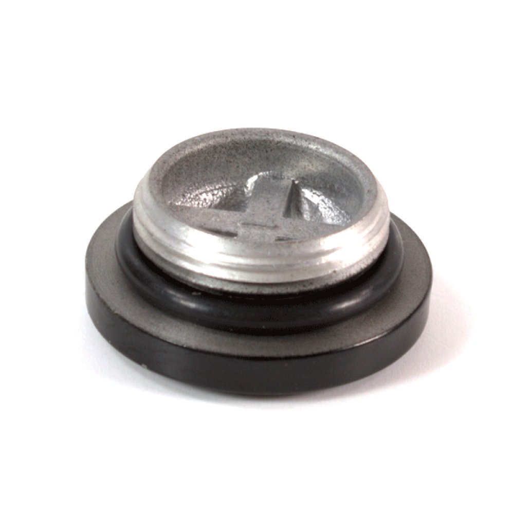 Crankcase Plug 3