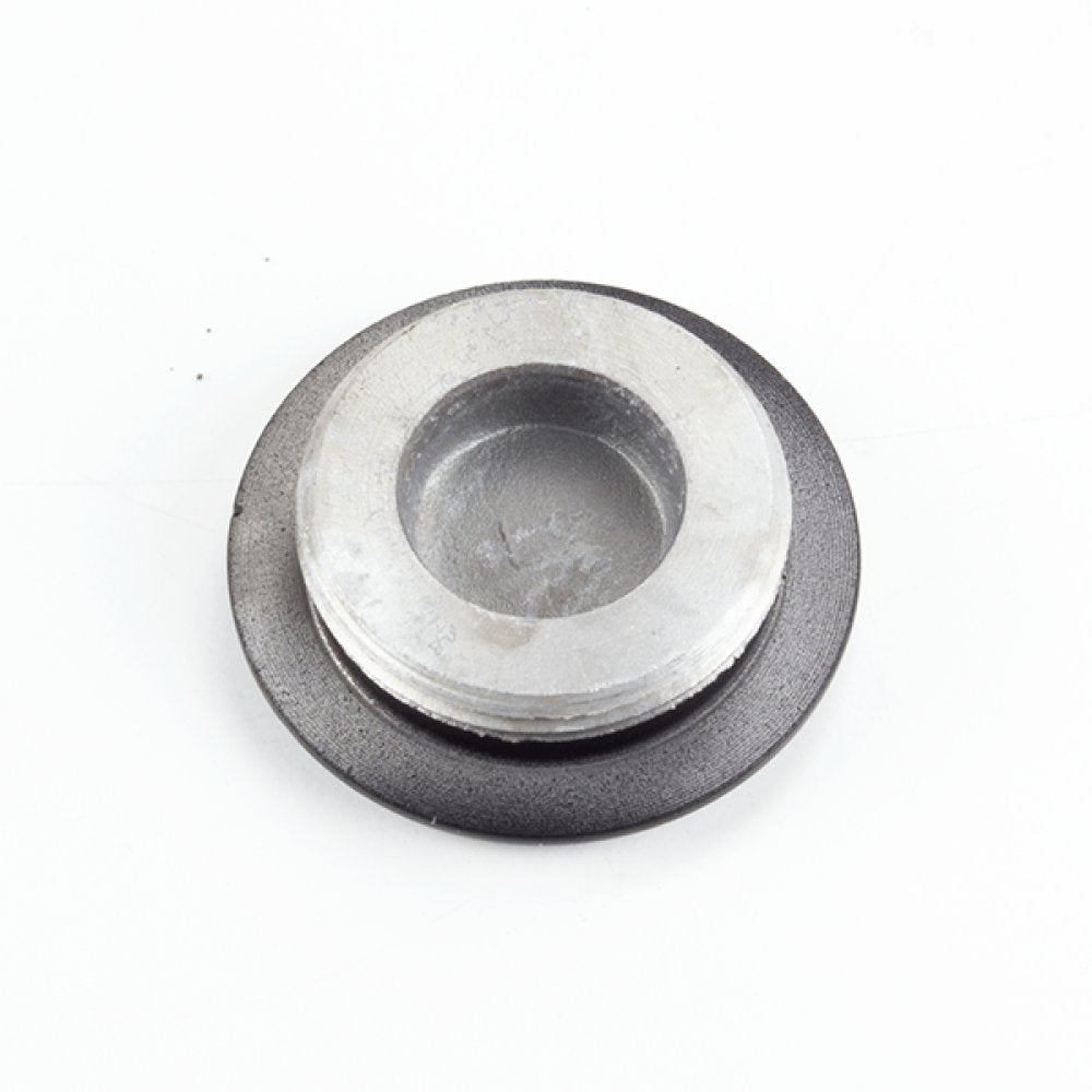Crankcase Plug 2