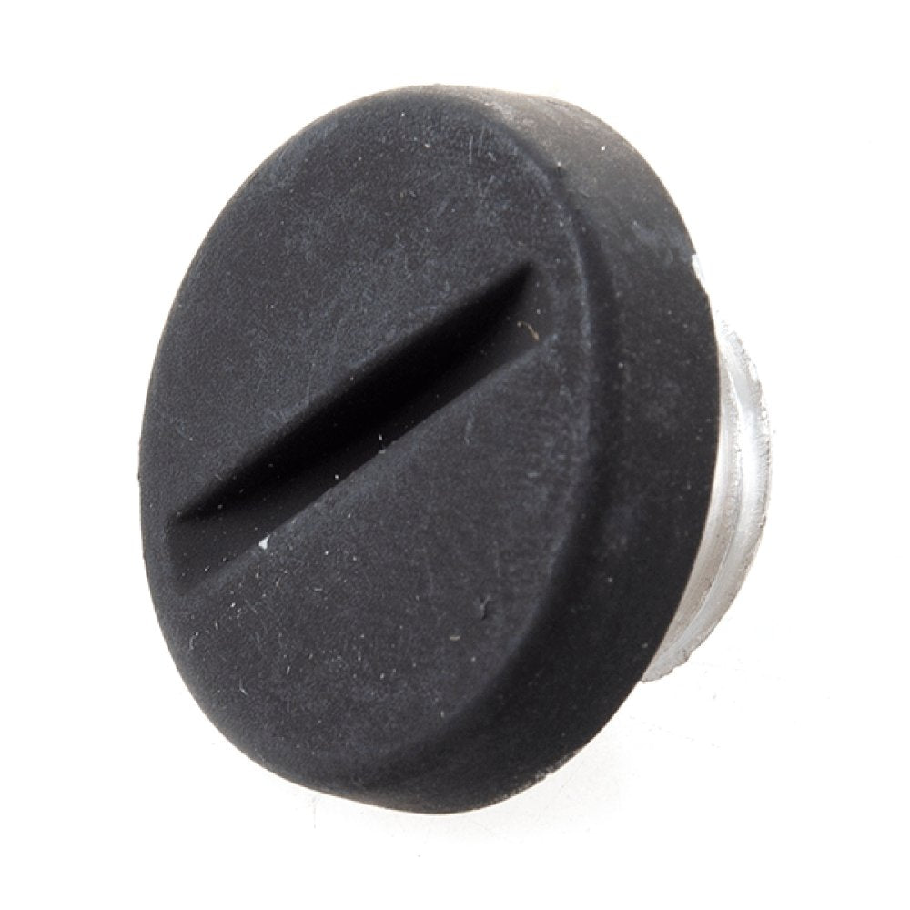 Engine Timing Check Plug