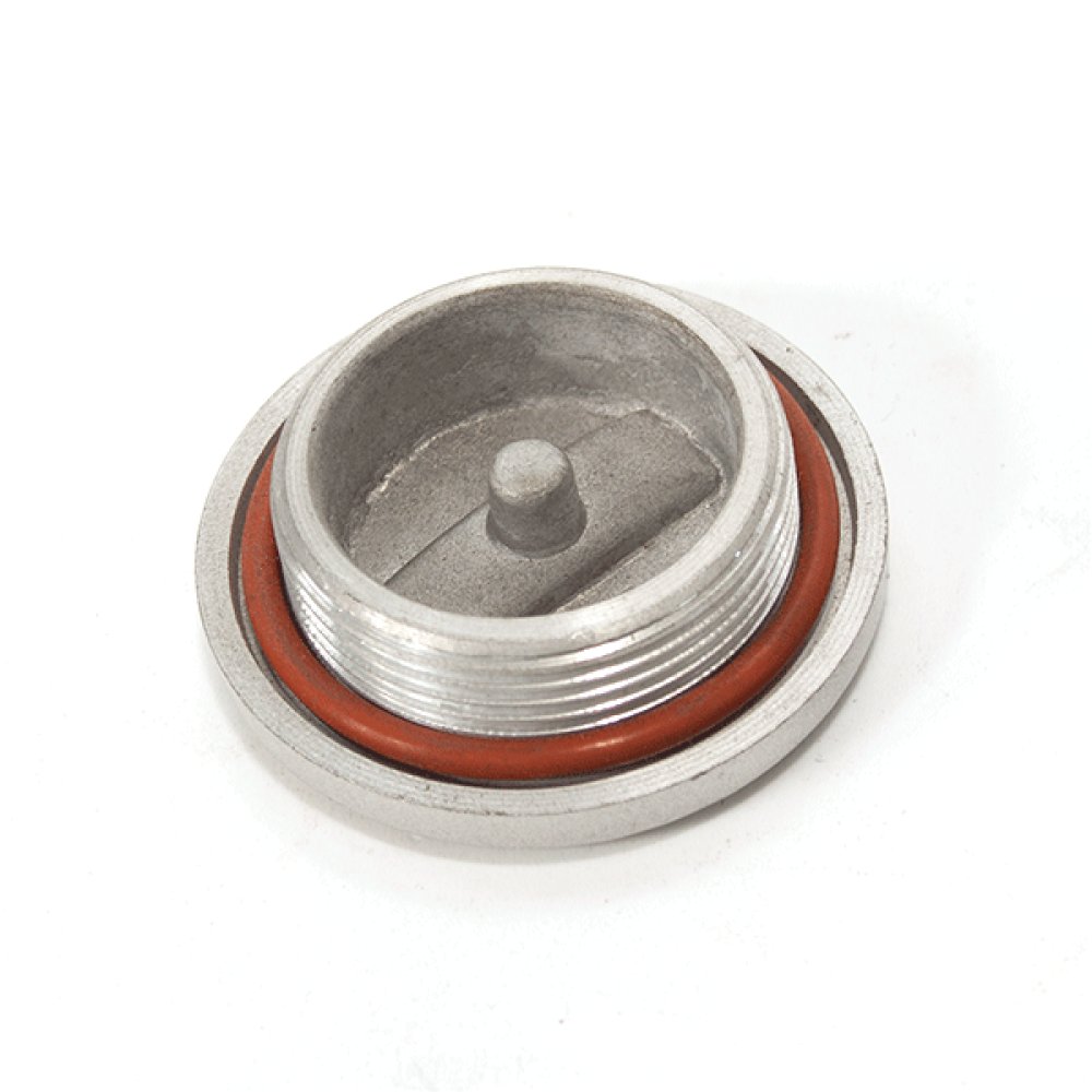 Crankcase Plug 2