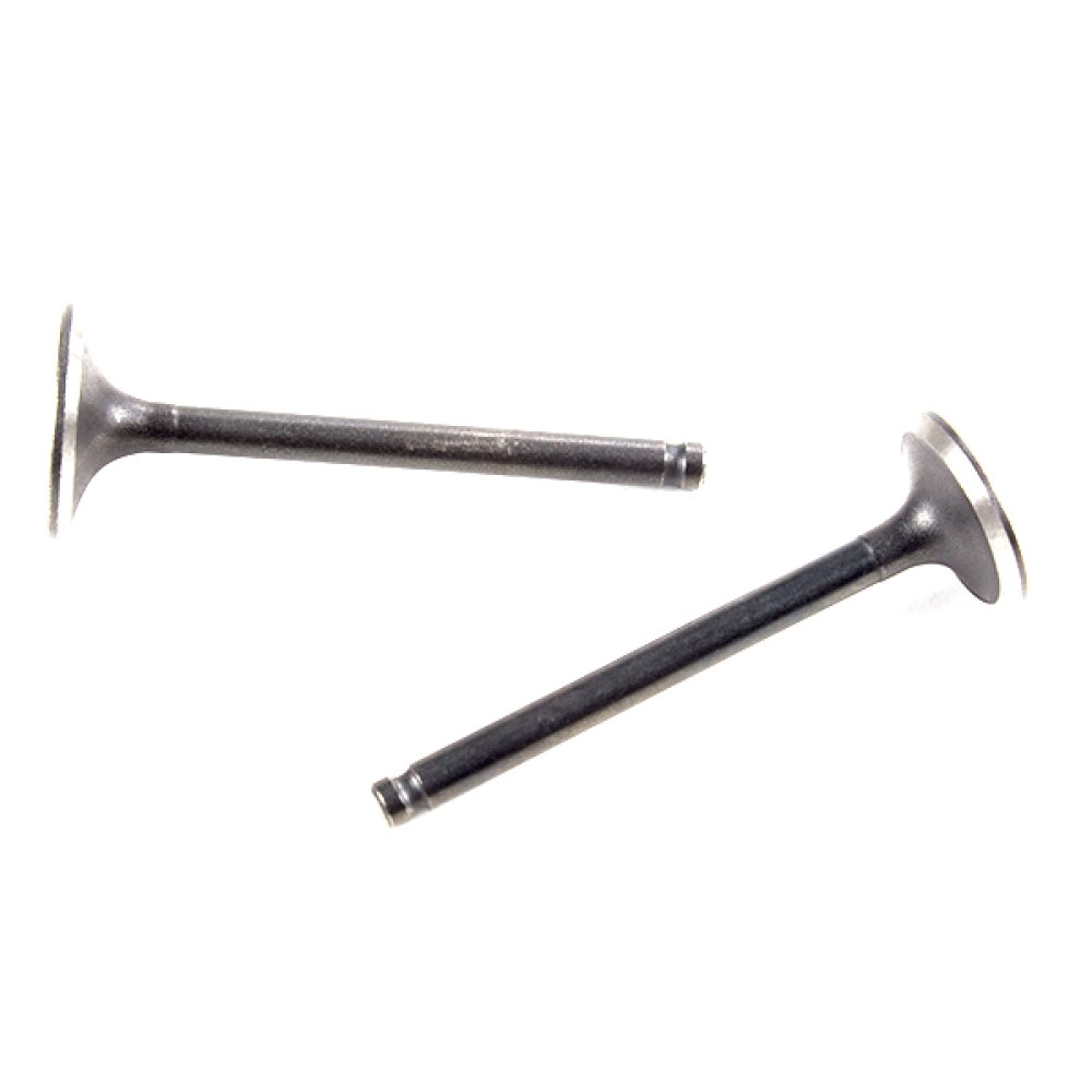 Inlet and Exhaust Valve 2