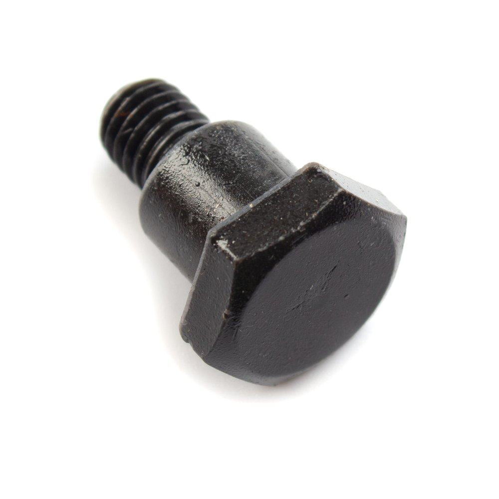 Cam Chain Bracket Bolt