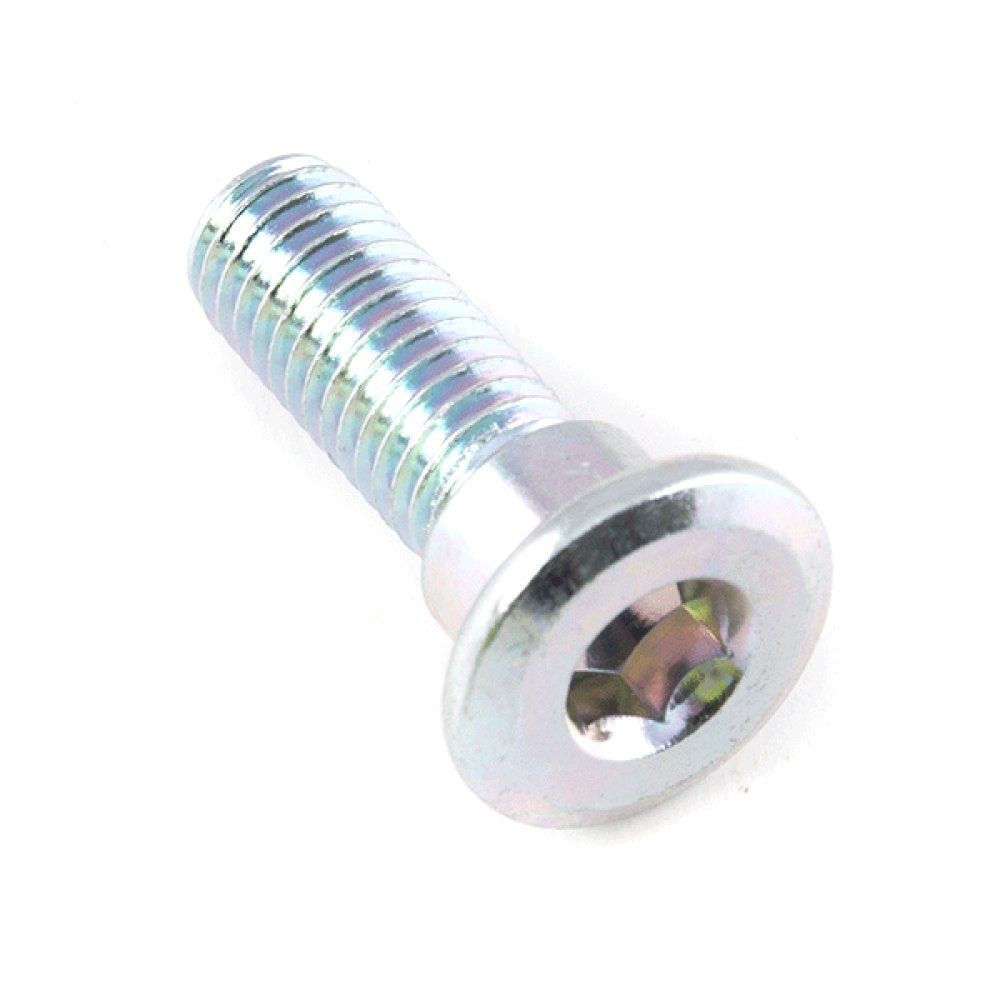 Brake Disc Bolt