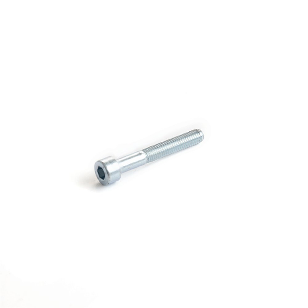 Allen Bolt with Shank