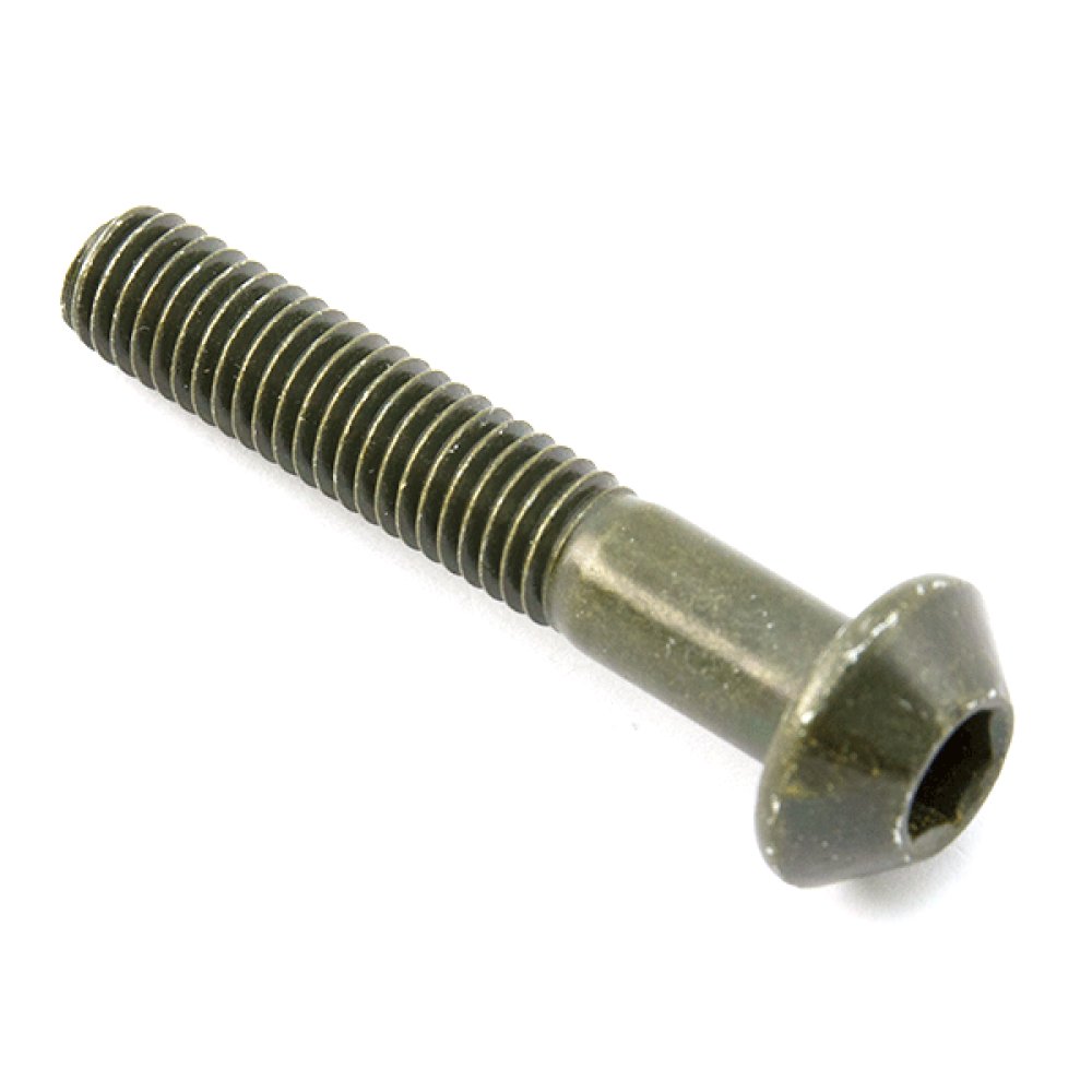 Allen Bolt with Shank