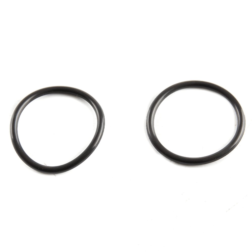 Large Crankcase Cover Plug O-Ring