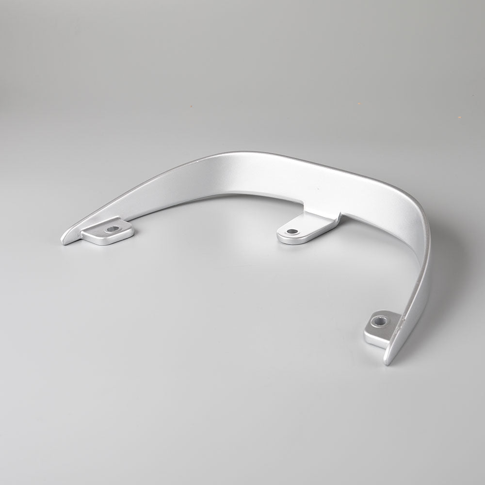 Pillion Handle