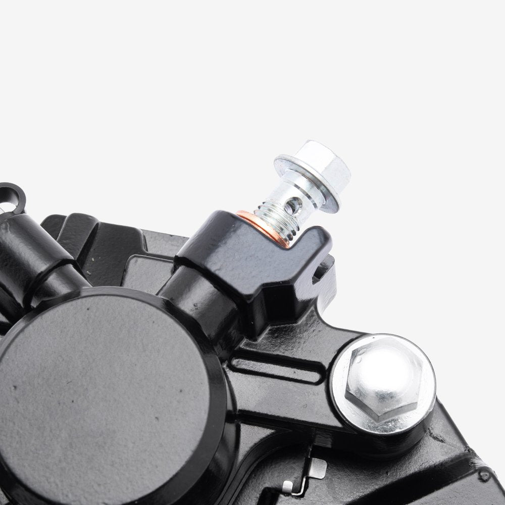 Rear Brake Caliper 6