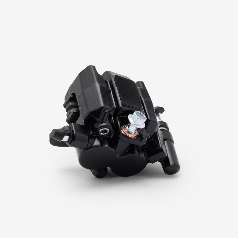 Rear Brake Caliper 3