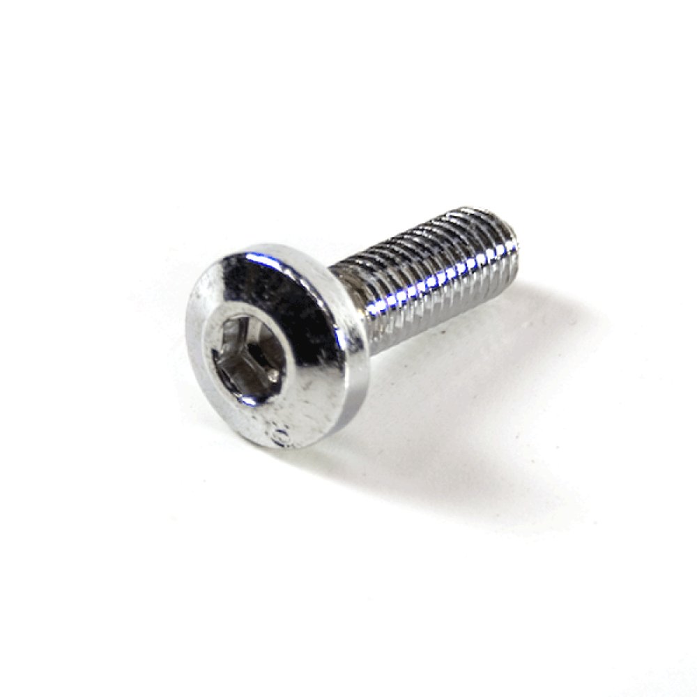 Caliper Bolt