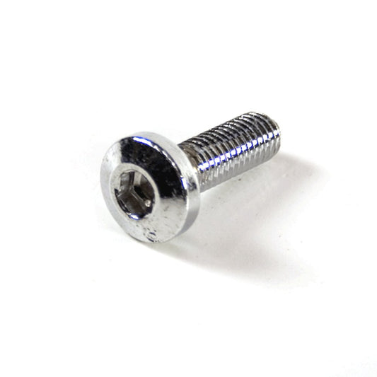 Caliper Bolt