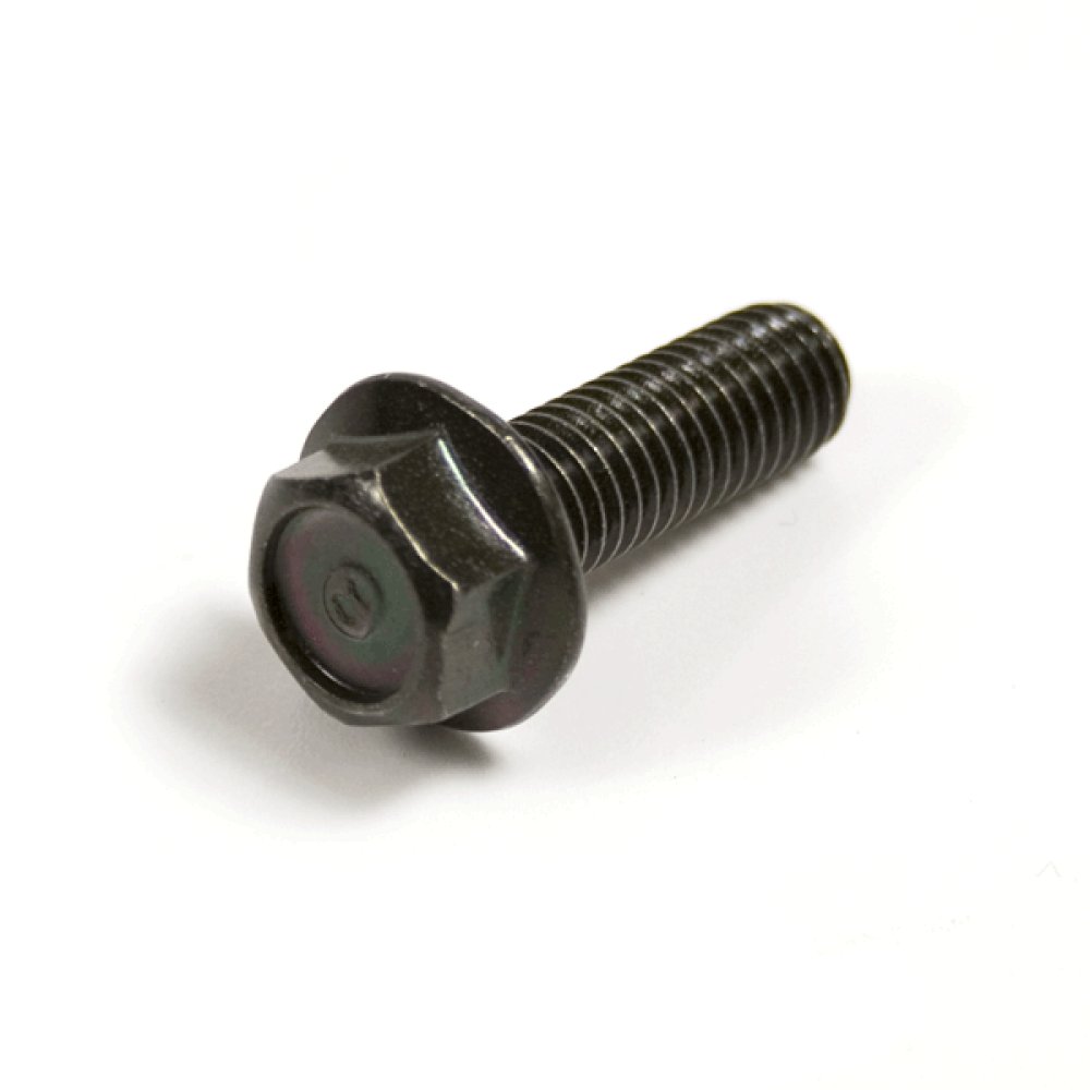Caliper Bolt
