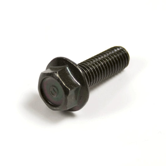 Caliper Bolt