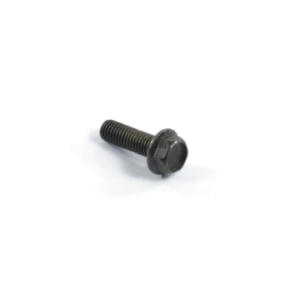 Caliper Bolt
