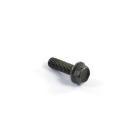 Caliper Bolt