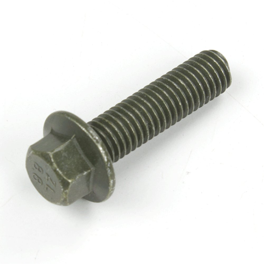 Caliper Bolt 2