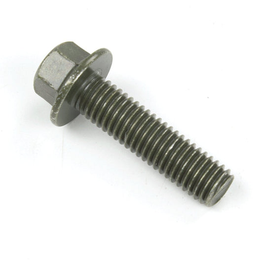 Caliper Bolt