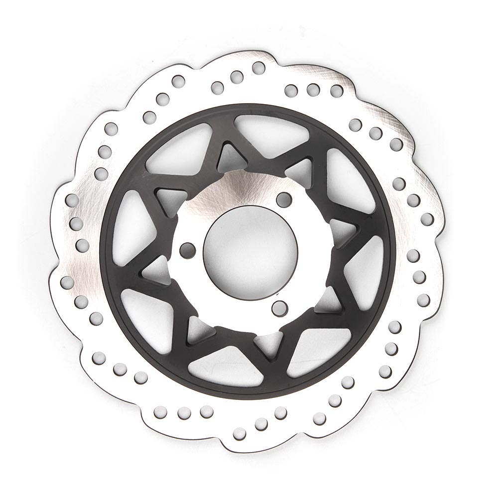 Brake Disc 2
