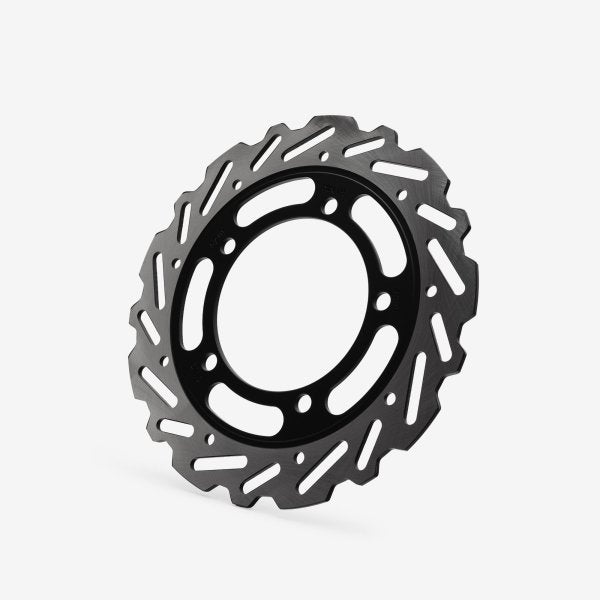 Rear Brake Disc