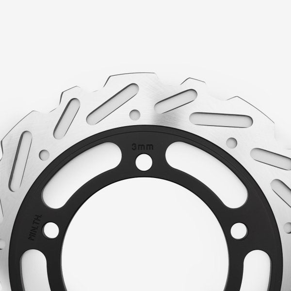 Rear Brake Disc