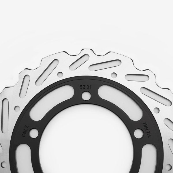 Rear Brake Disc