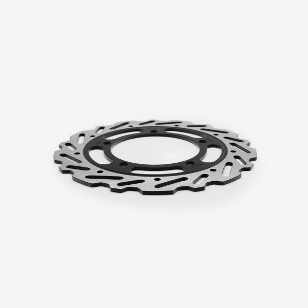 Rear Brake Disc
