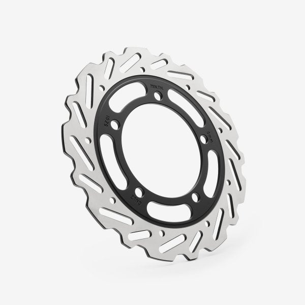 Rear Brake Disc