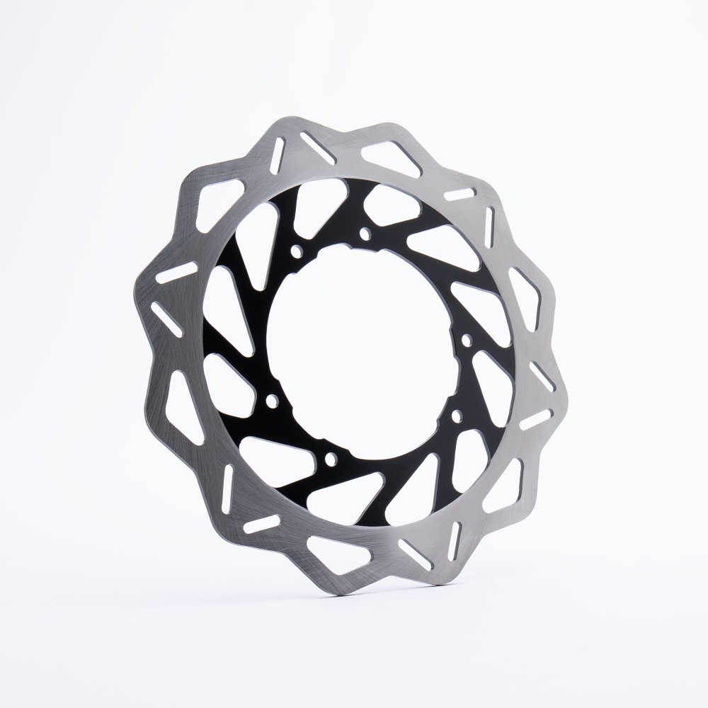 Rear Brake Disc