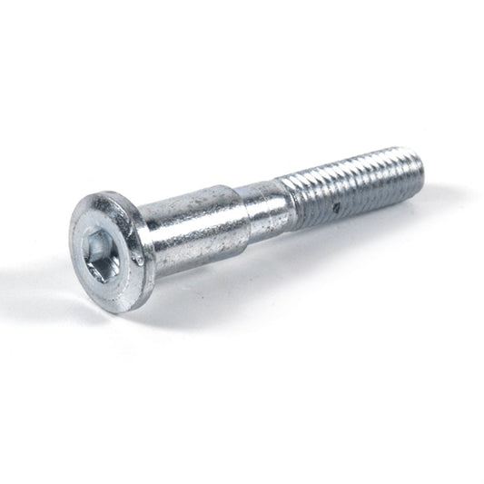 Brake Disc Bolt