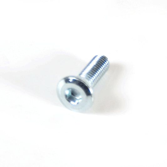 Brake Disc Bolt