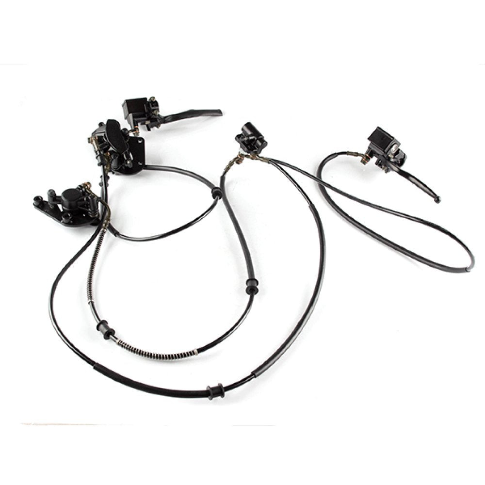 Combined Brake System