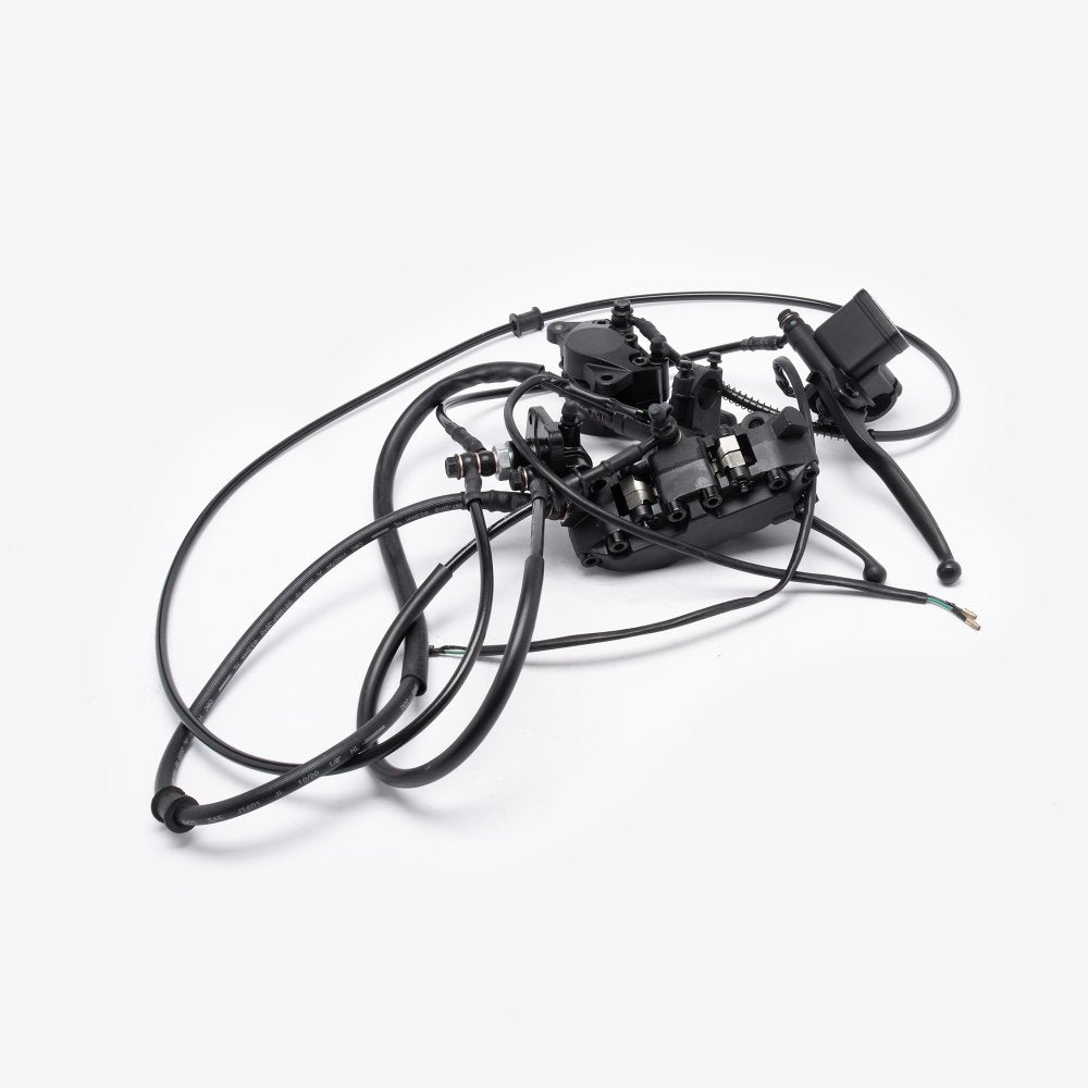 Combined Brake System 2