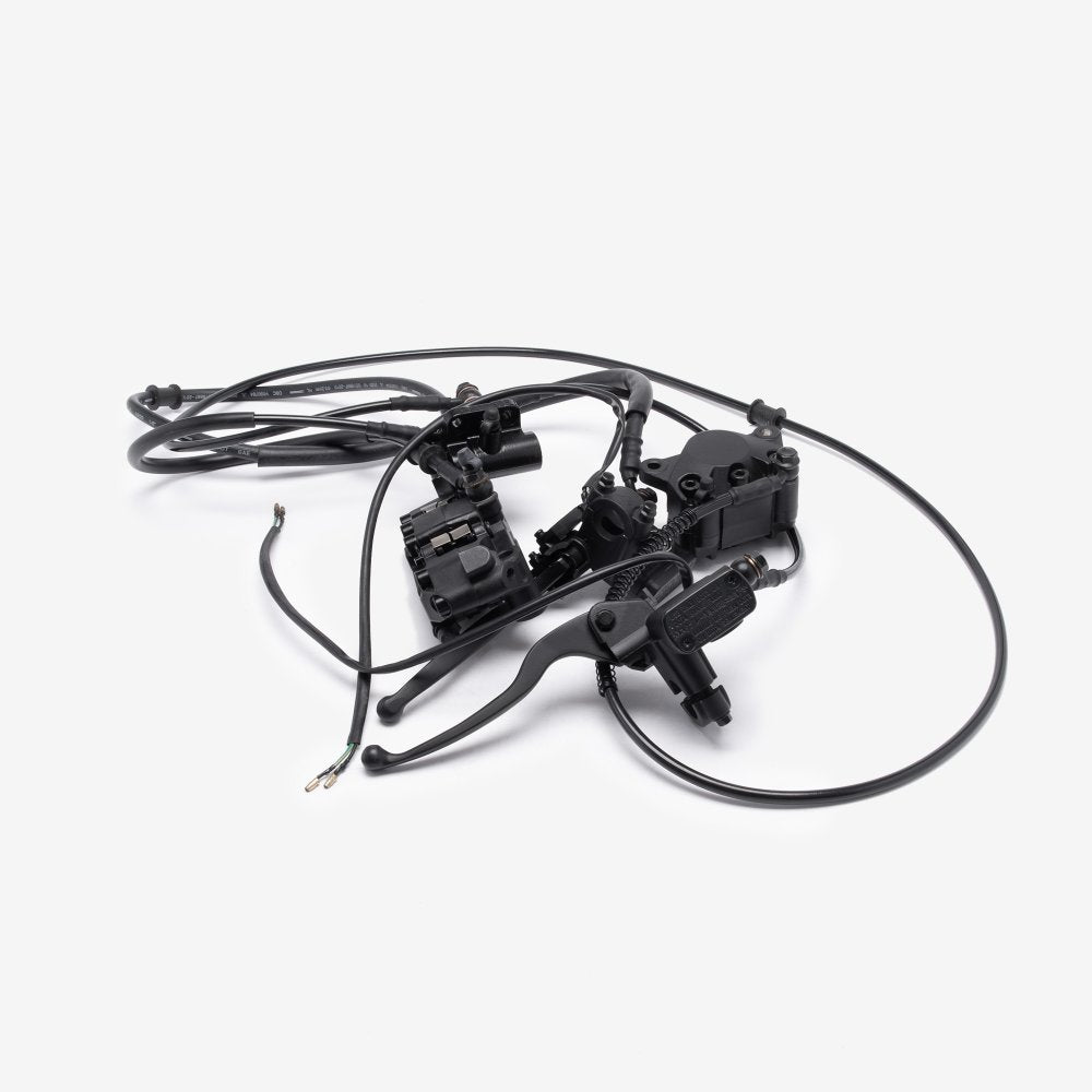 Combined Brake System