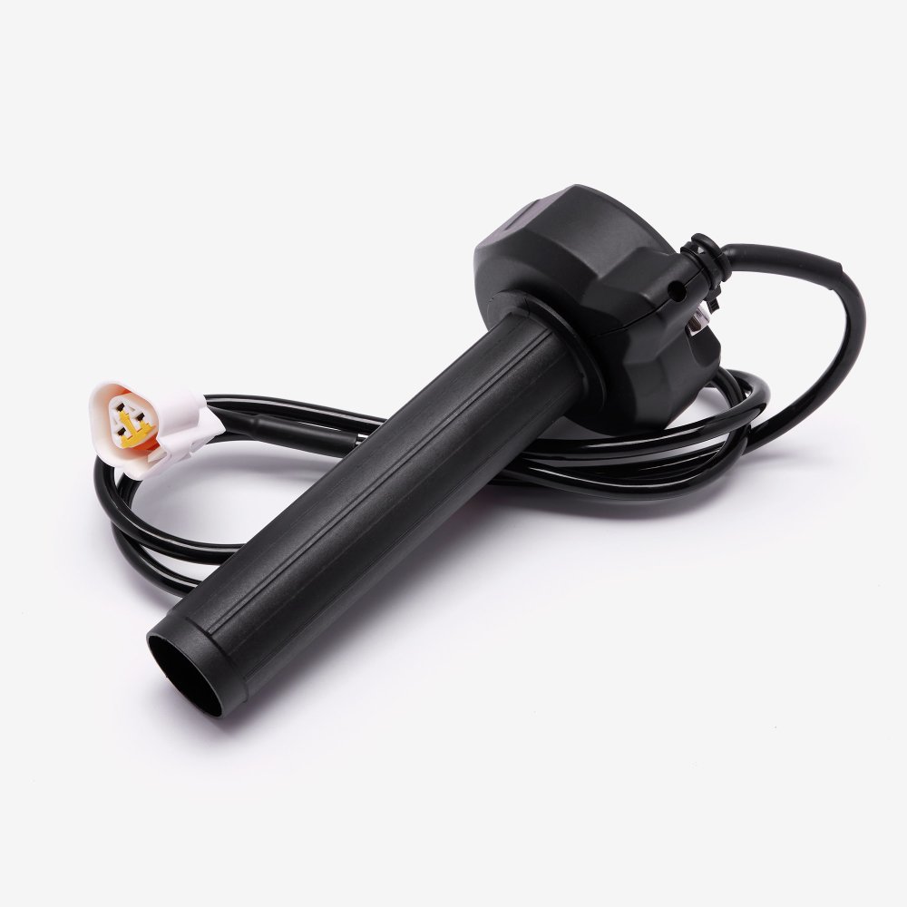 Electronic Throttle Assembly