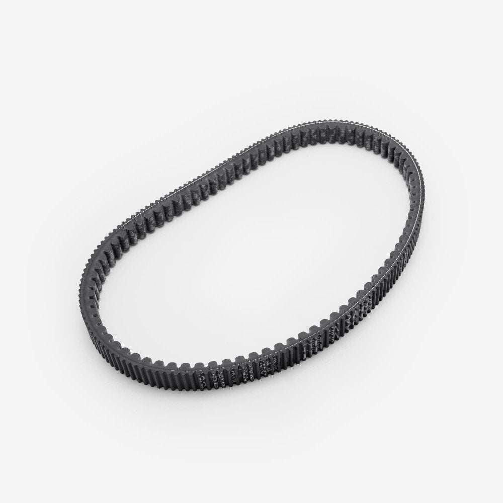 Drive Belt 842 22.6 30 2