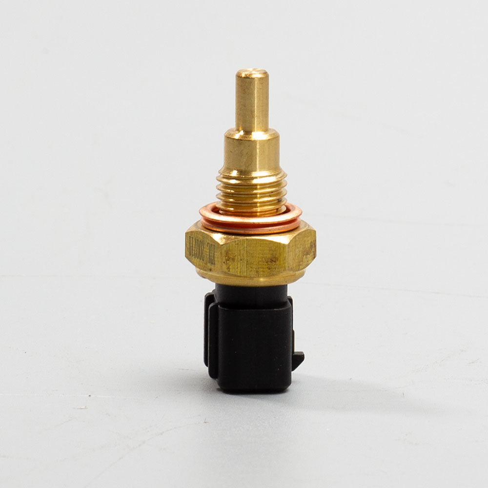 Engine Temperature Sensor EFI 2