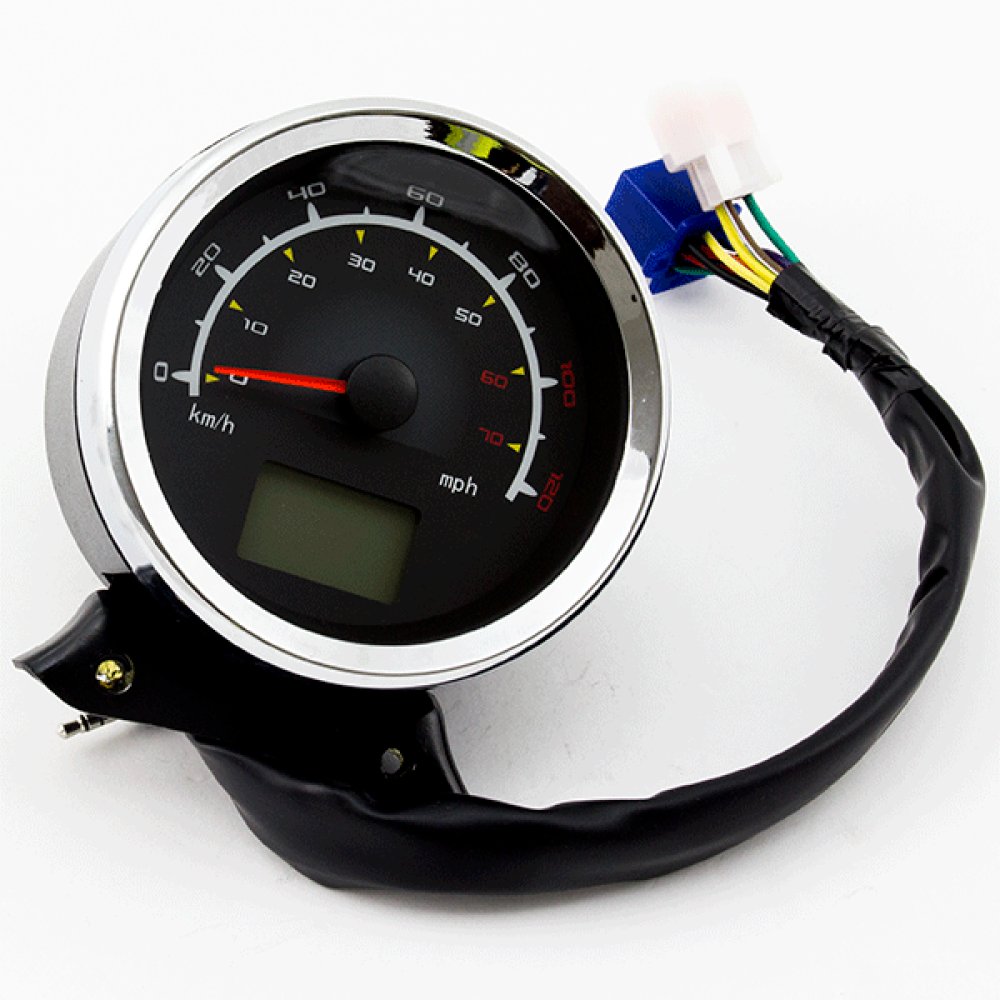 Speedo Assembly
