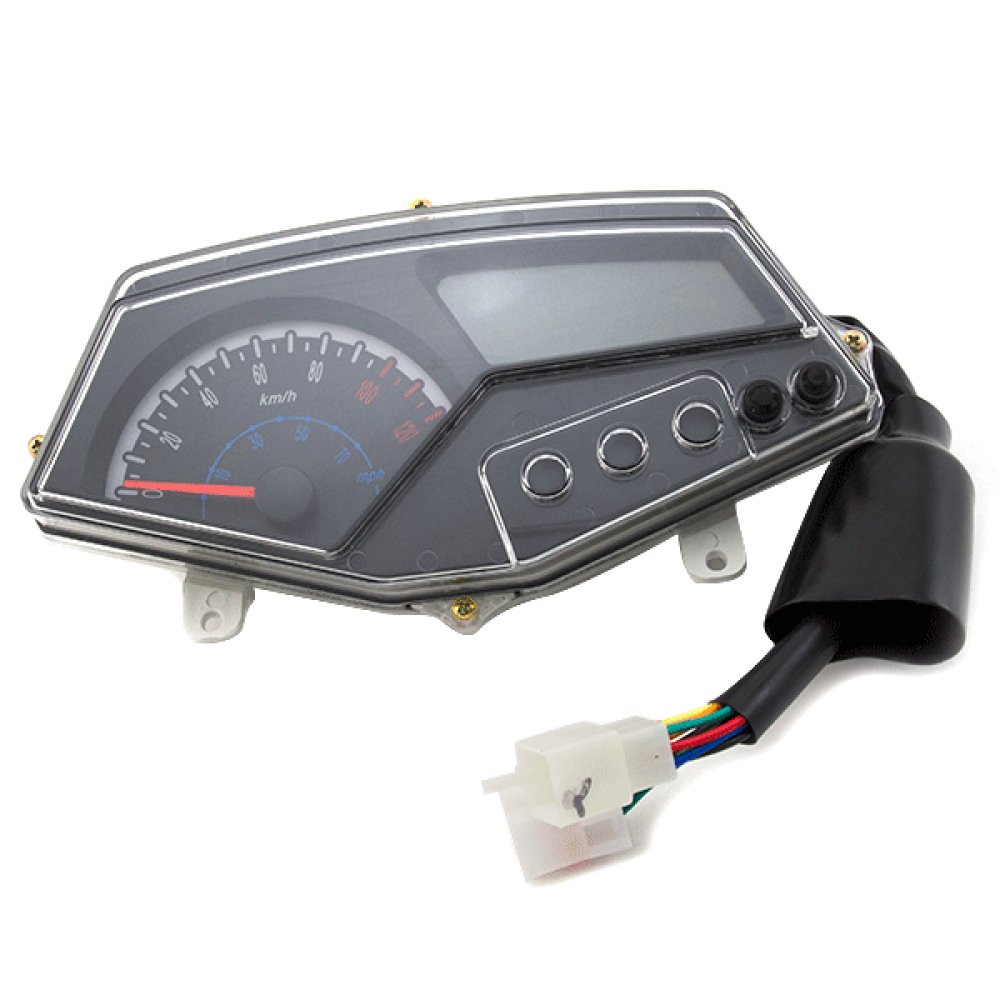 Speedo Assembly