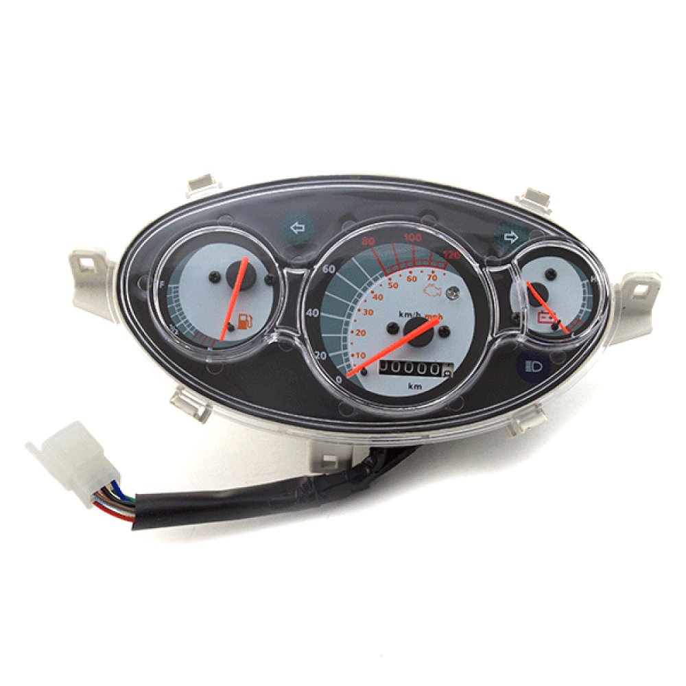 Speedo Assembly