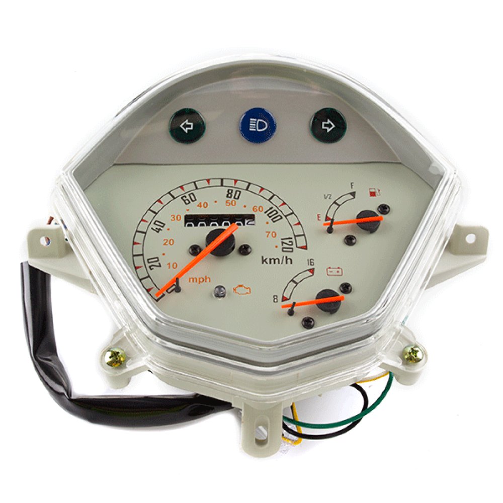 Speedo Assembly