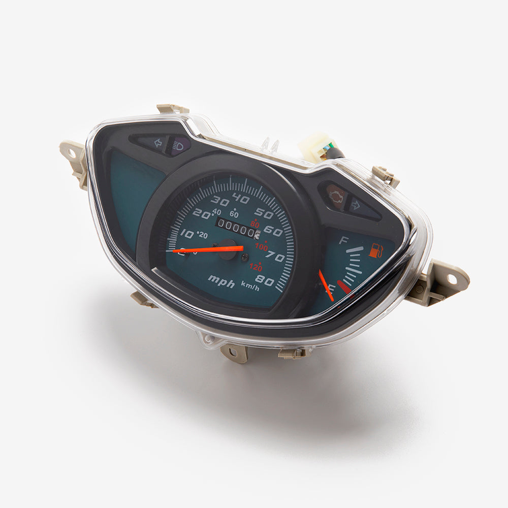 Speedo Assembly