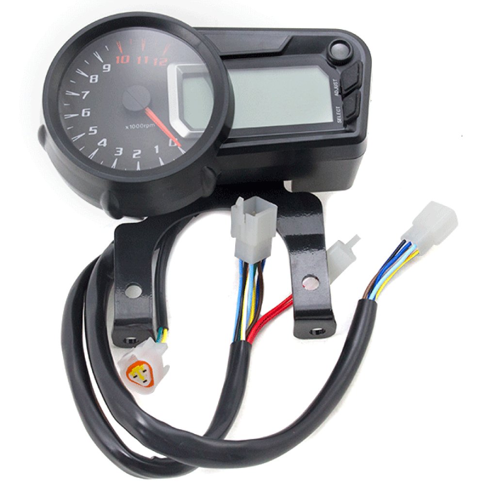 Speedo Assembly