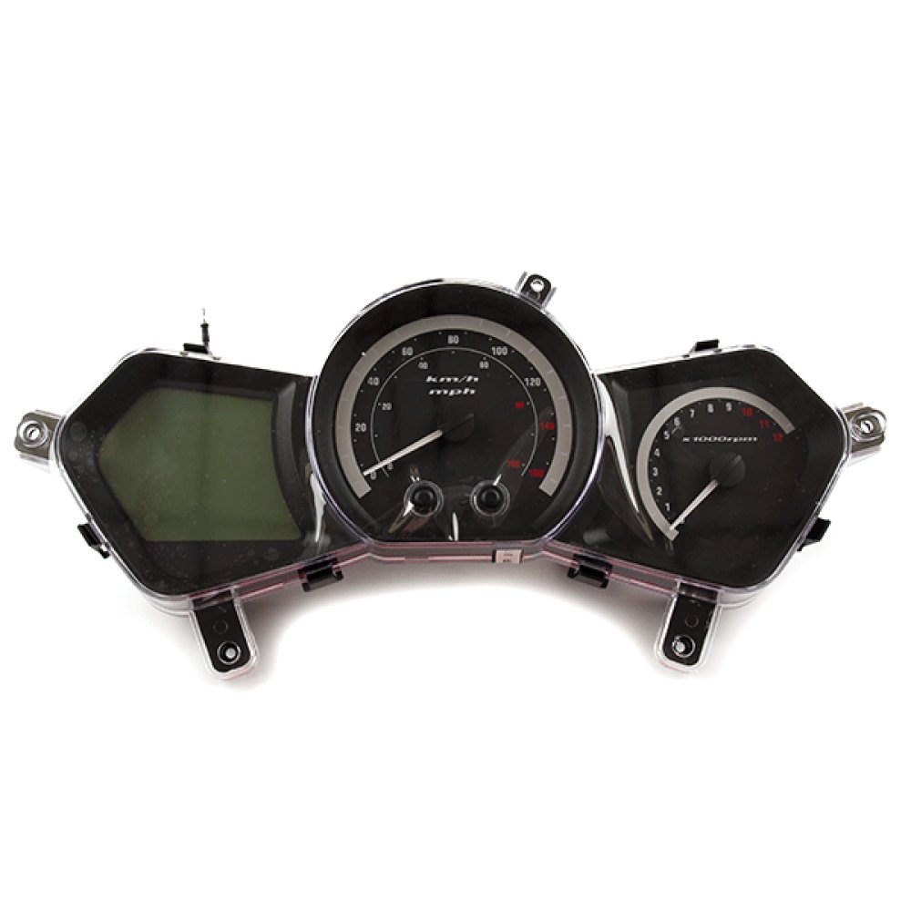 Speedo Assembly