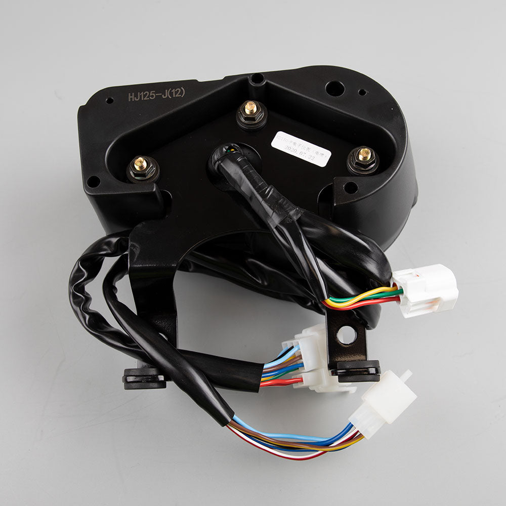 Speedo Assembly 2