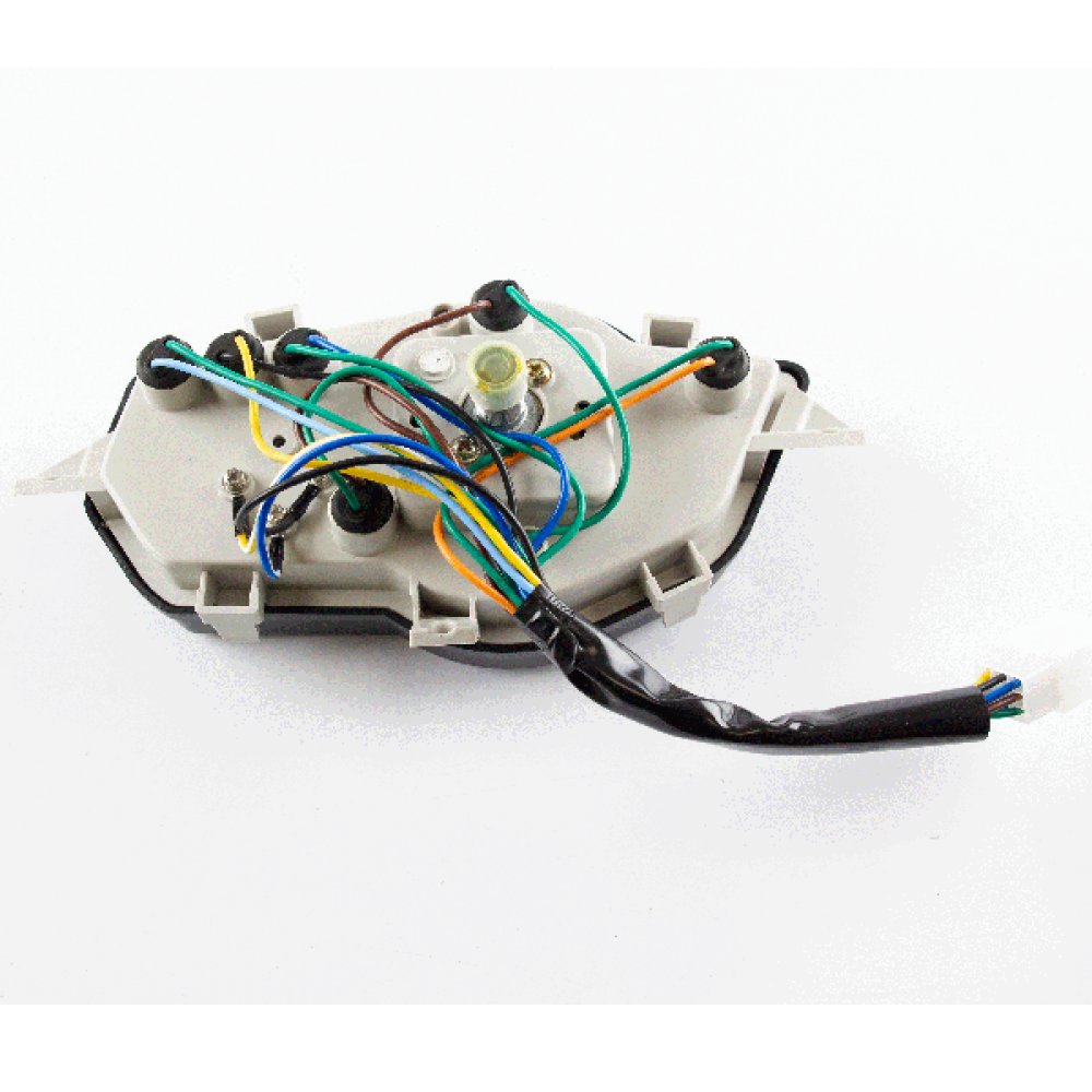 Speedo Assembly 2